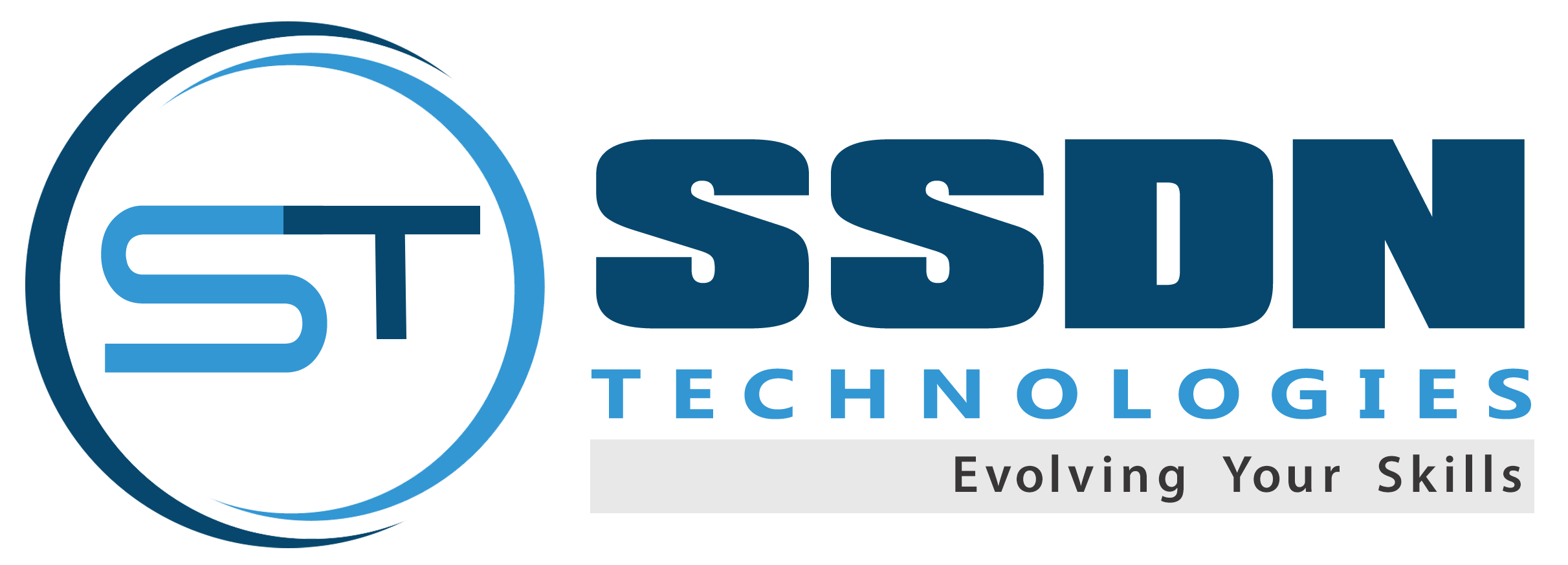 SSDN Logo