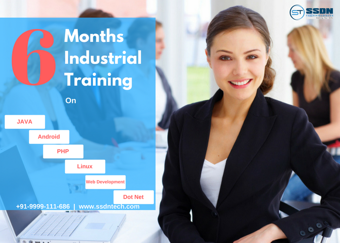 6 Month Industrial Training