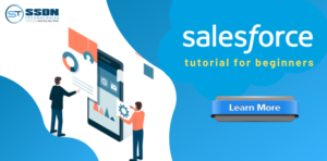 Salesforce Tutorial For Beginners: Learn step by step