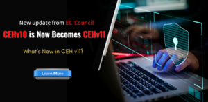 about cehv11