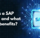 What is a SAP course